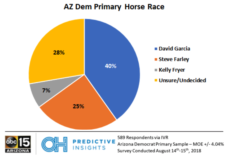 Arizona Democratic Governor Primary Results